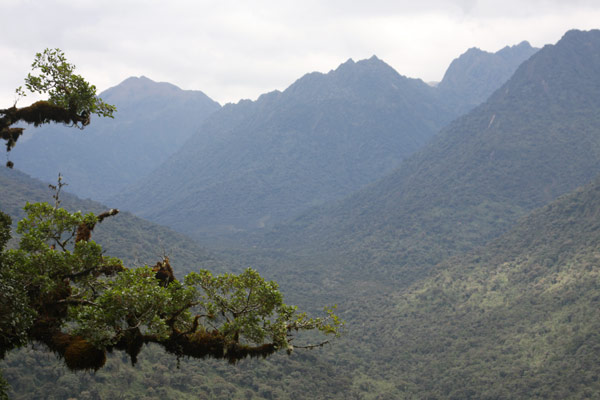 mountains