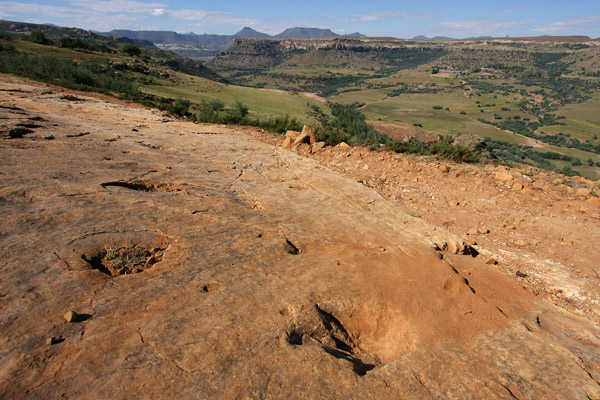 Dinosaur footprints
