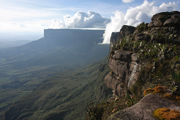Kukenan and Roraima