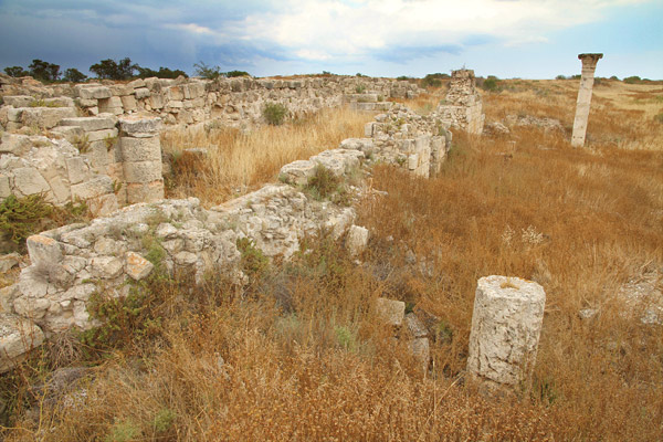 Salamis