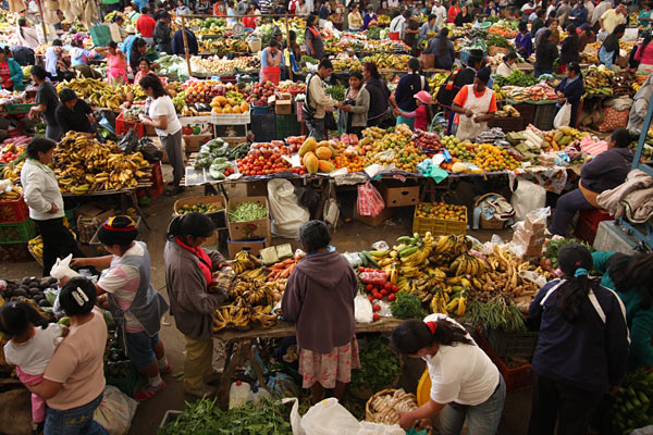 fruit market