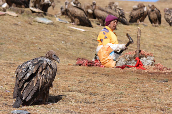 skyburial