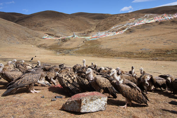 skyburial