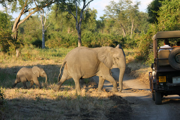 South Luangwa