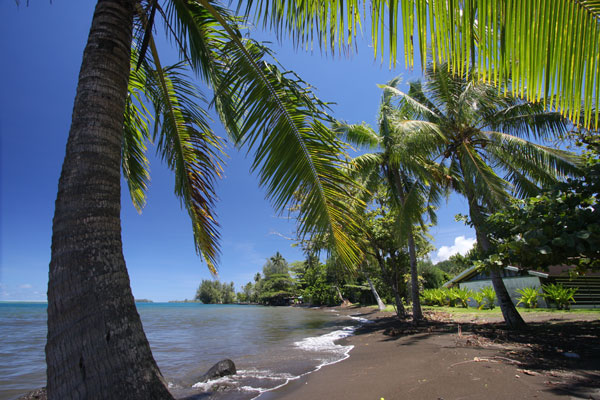 black sand beach