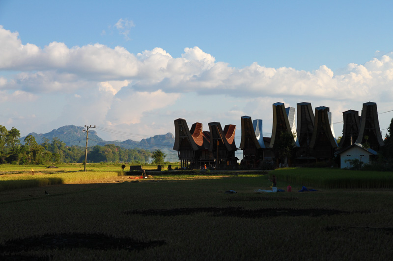 Tana Toraja