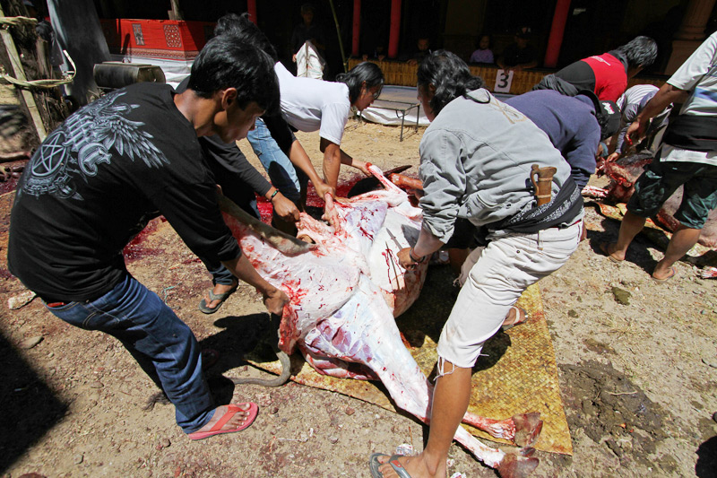 Tana Toraja funeral