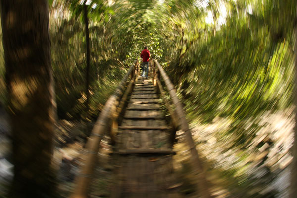 Bridge at San Andres