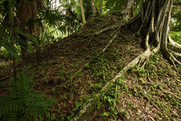tikal