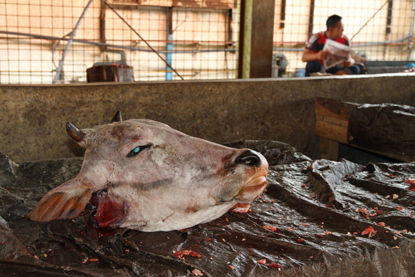 Tomohon Market