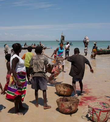 Vezo fishermen