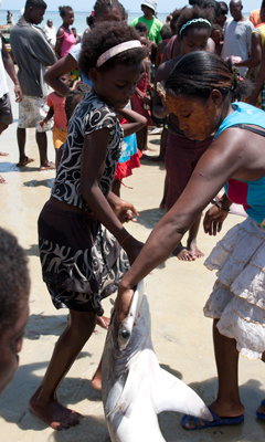 Vezo people around a hammerhead