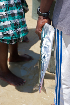 Other catch