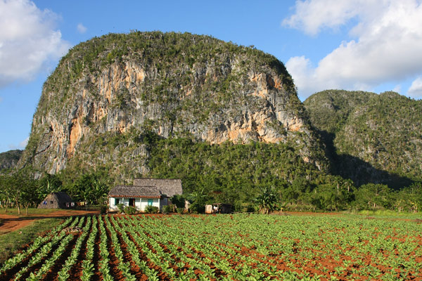 Vinales farm