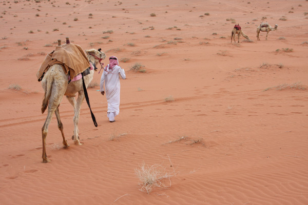 wadirum