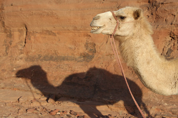 wadirum
