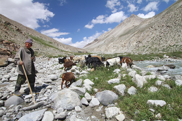Wakhi shepherd