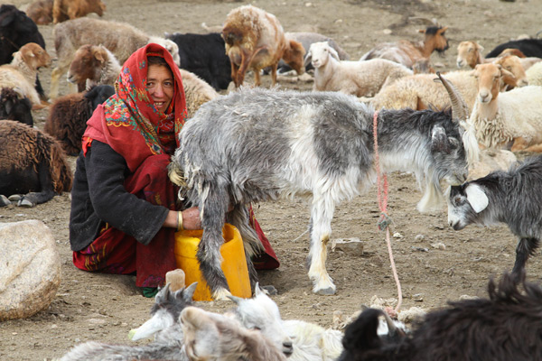 Wakhi woman