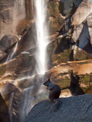 Yosemite