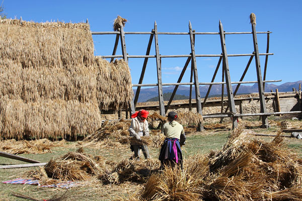 Zhongdian countryside