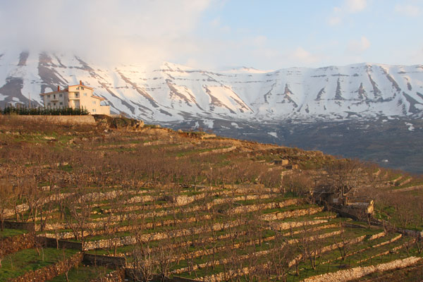 Mt. Lebanon range