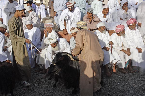 Goat auction