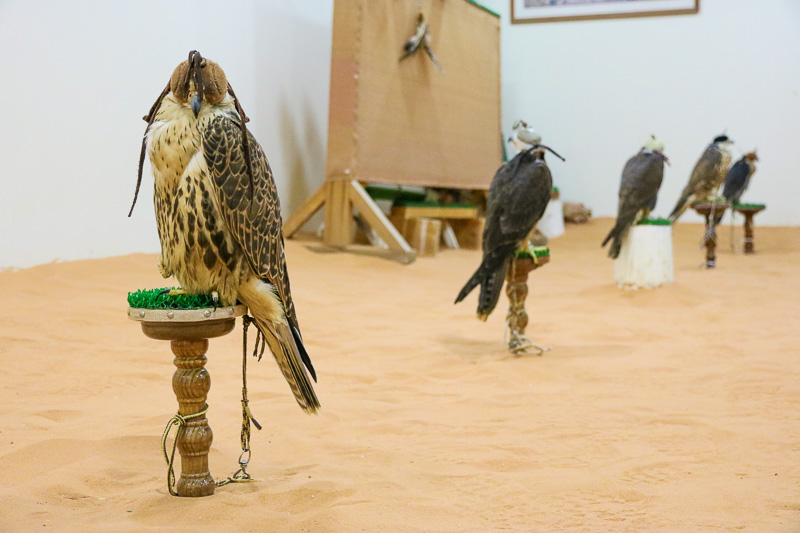 Falcon Market