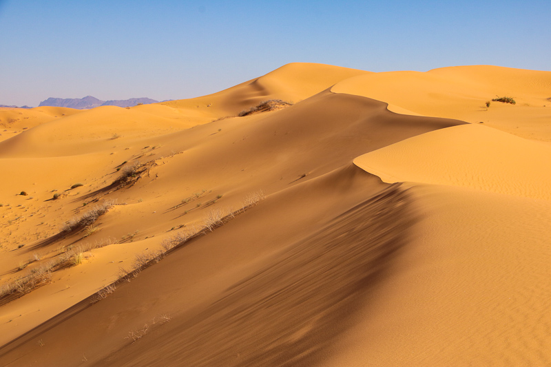 Sand Dune Desert