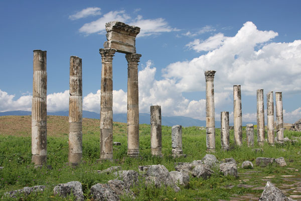 Apamea