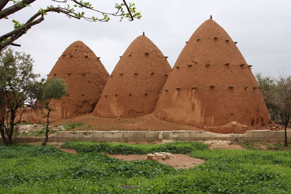 Beehive houses