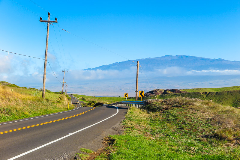 Kohala Drive