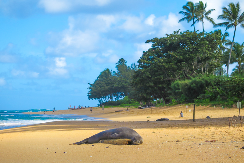 Haena, Makua and Tunnels Beaches