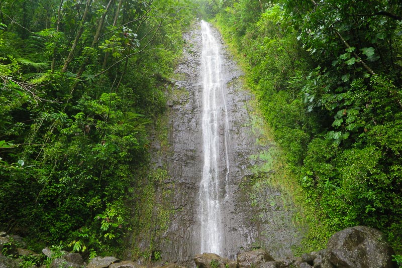 Manoa Falls Trail
