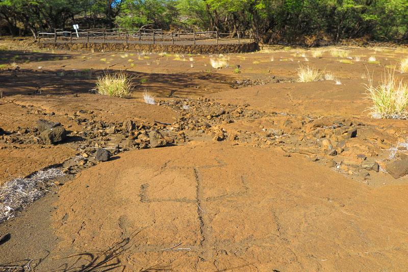 Petroglyphs at Puako