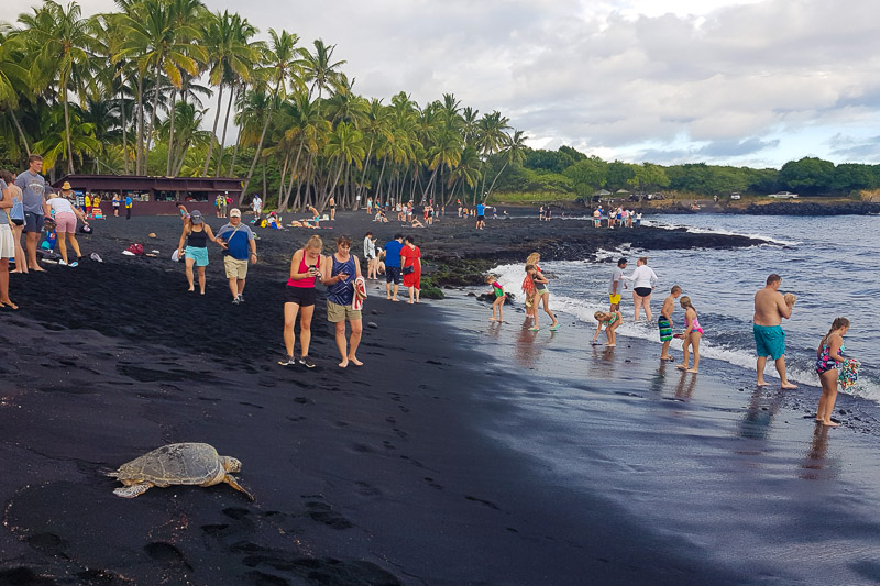 Punalu'u Beach