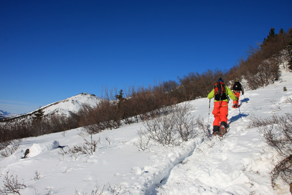 Denali National Park