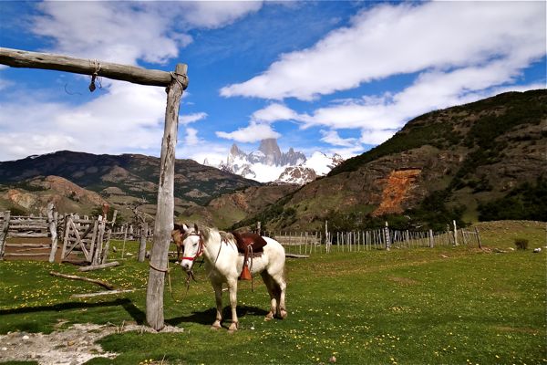 Horseback riding on the pampas
