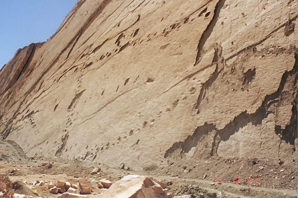 Dino tracks