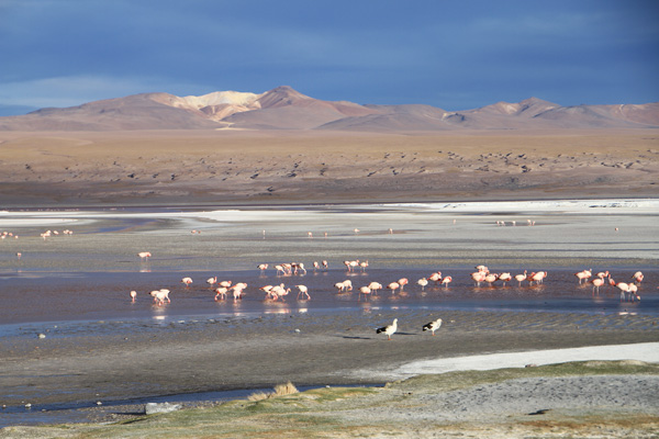 National Park Eduardo Avaroa