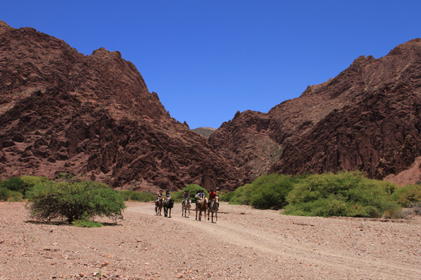 Wild West