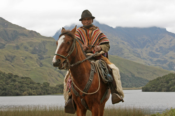 From the Andes to the Amazon