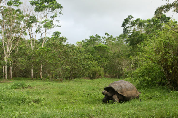 Galapagos Islands