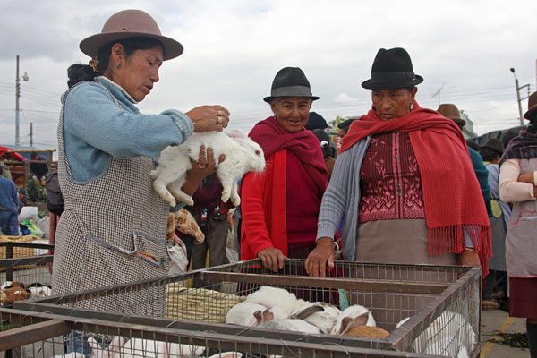 Saquisili market