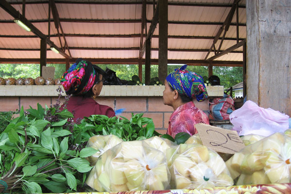 Hmong Villages