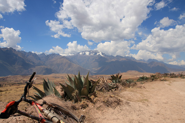 Mountain Biking