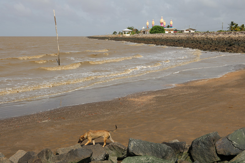 Corantijnstrand Beach