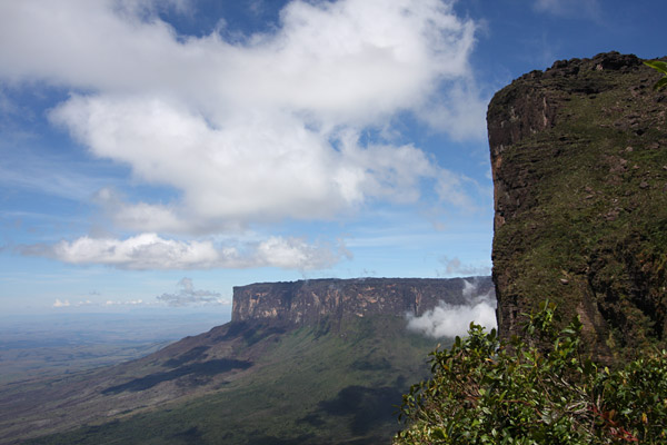 Mt. Roraima